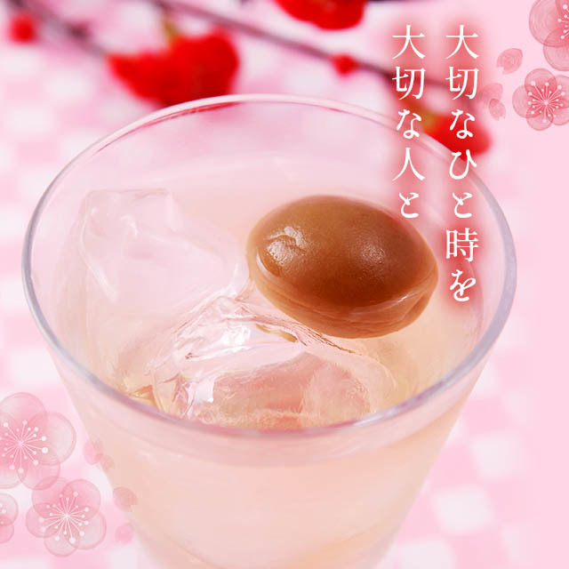 希少✨限定品『請福もやしもん梅酒』720ml(焼酎付き） 長良川 梅酒-プレミアム梅酒-720ml | nagaragawa-kuramoto-sake