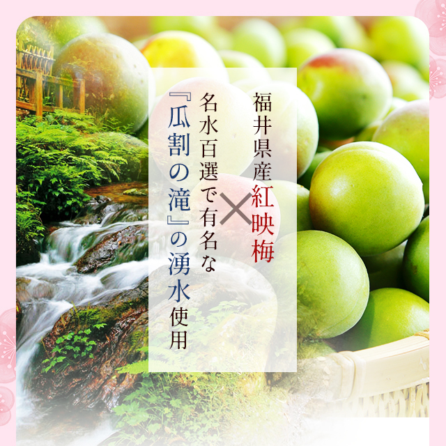 紅福 梅酒200ml