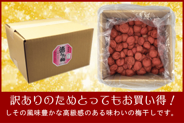 規格外】梅干し 無添加しそ漬福梅ぼし5kg 昔ながら/福井県産/訳あり
