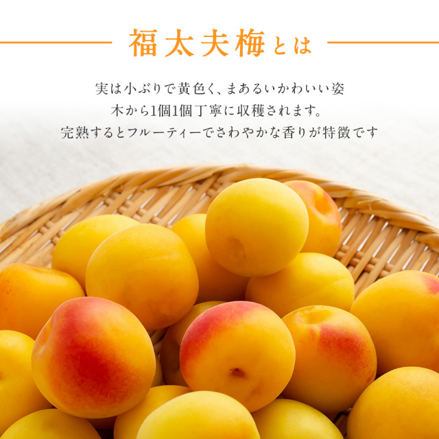 うめふく様 70726f647563742f32303233303130