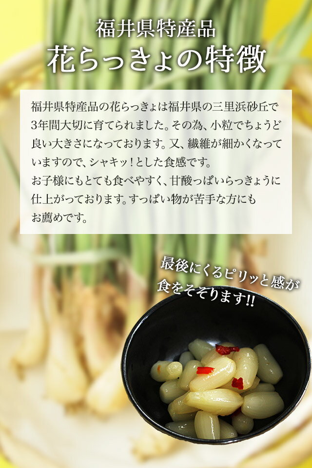 「花らっきょう」500g × 20袋 花らっきょう」500g × 20袋 楽天市場】らっきょう漬け（単品重量