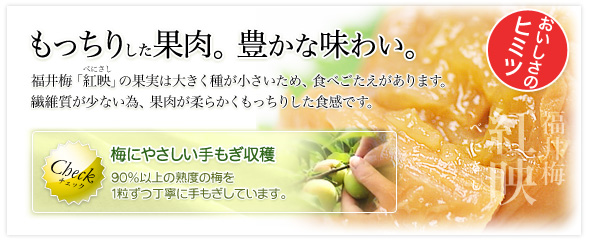 梅干 通販は福井梅・紅映の梅干加工販売業“福梅ぼし”の福梅で。