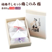 梅このみ<極>
