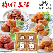 送料無料 　梅干し生活　選べる組合せ　福梅ぼし梅干し食べ比べセット各100ｇｘ4味　 うす塩 無添加しそ漬 はちみつ 昆布 かつお 甘仕立てうす塩味/食べ比べ/ご飯のお供/酸っぱい/福井県産紅映梅/国産 お取り寄せ グルメ