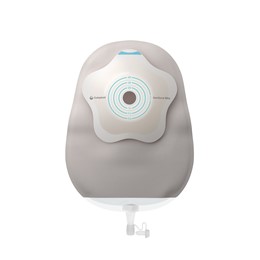 センシュラ　ミオ１　コンケーブ　ウロ