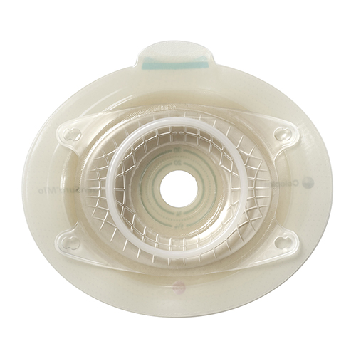 センシュラ　ミオ２　プレート　ディープ（フリーカット）