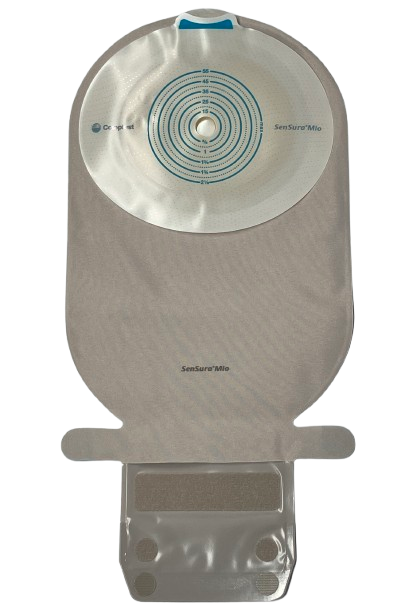 センシュラ　ミオ１