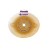 センシュラ２プレート