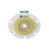 センシュラ２Xproプレート