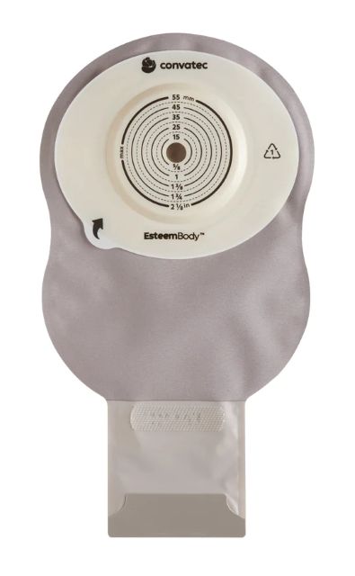 エスティーム　ボディ　(消化管用)　凸の深さ7mm