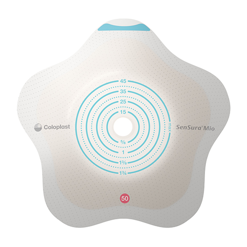 センシュラ　ミオ２　コンケーブ　プレート