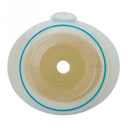 センシュラ　ミオ２　フレックス　プレート