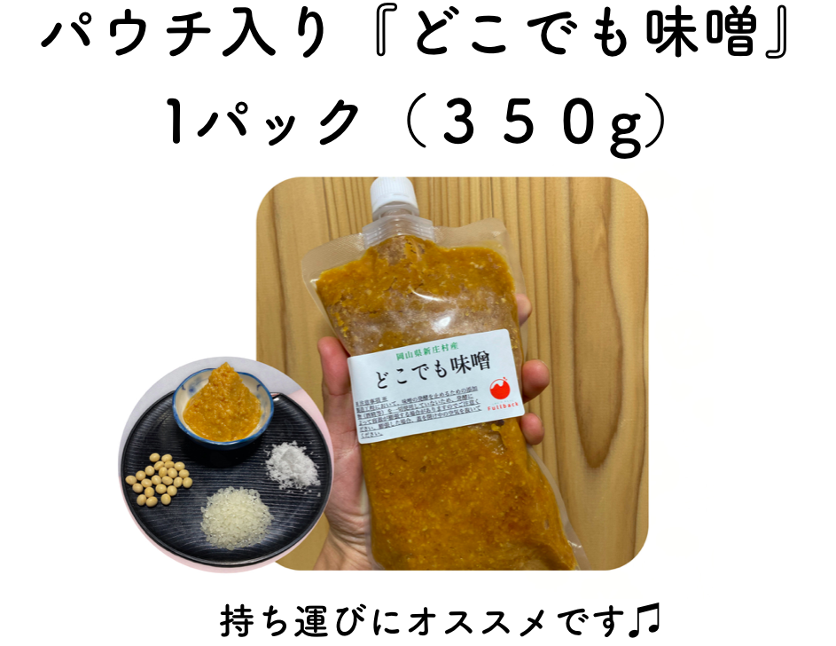パウチ入り『どこでも味噌』 1パック（３５０g）