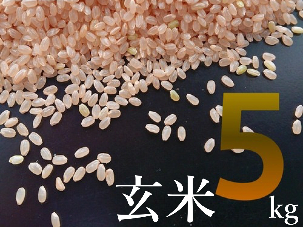 玄米５kg