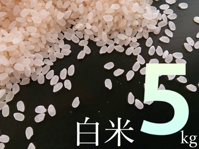 白米５kg
