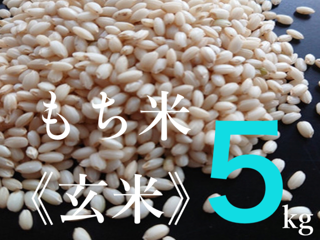 もち米（玄米）５kg