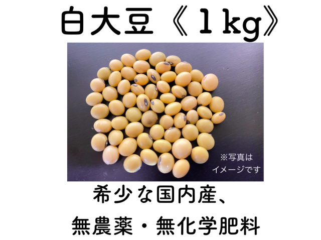 白大豆「もち大豆」《１kg》　農薬、化学肥料不使用