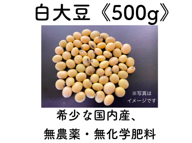白大豆「もち大豆」《５００g》　農薬、化学肥料不使用