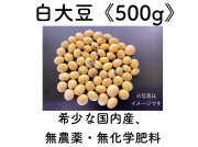 白大豆「もち大豆」《５００g》　農薬、化学肥料不使用