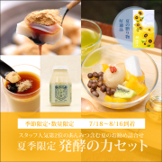 夏季限定 発酵の力セット【くず餅大箱・夏の柑橘あんみつ2個・プリン2個・乳酸菌小ボトル2本】【7/18～8/16到着】【冷蔵品】