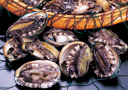 天然生あわび [小] 10個