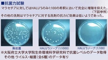 ハルズシャンプー