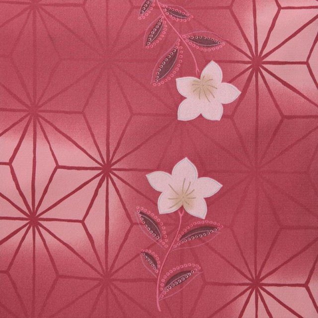 卒業式着物袴商品の画像