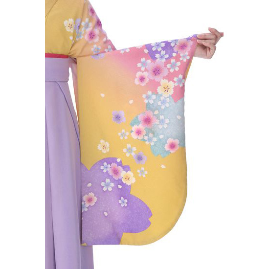 卒業式着物袴商品の画像