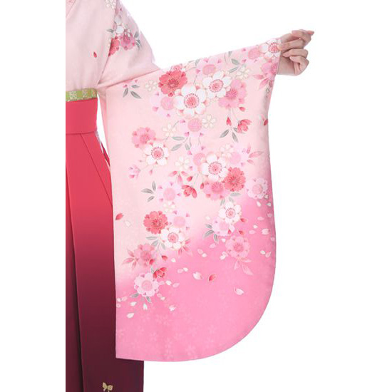 卒業式着物袴商品の画像