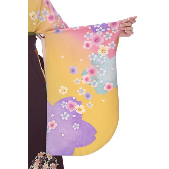 卒業式着物袴商品の画像