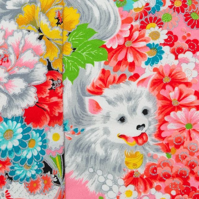 七五三着物画像