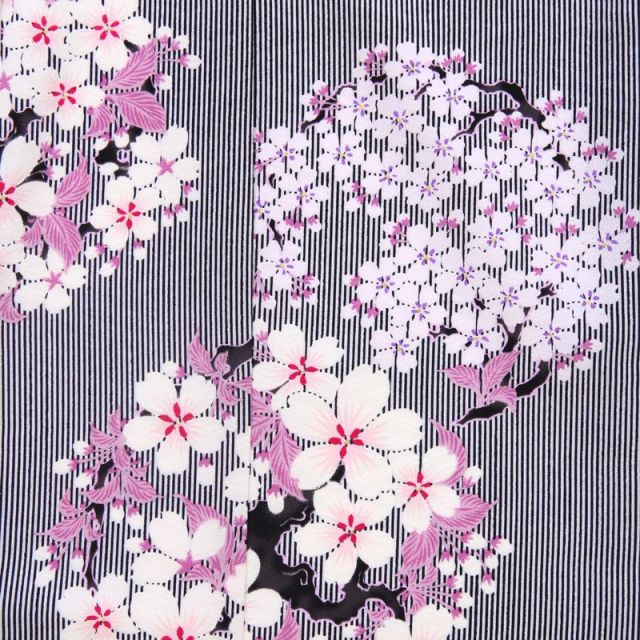 七五三着物画像