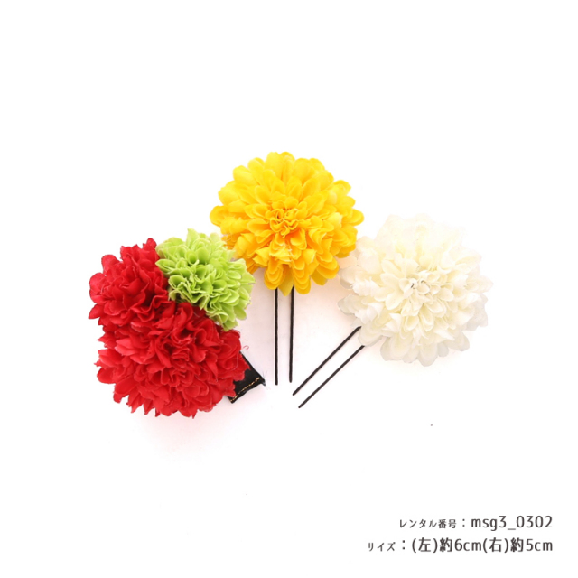 七五三着物画像