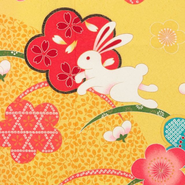 七五三着物画像
