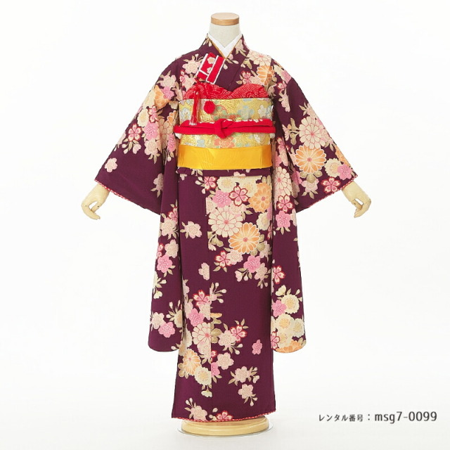 七五三着物画像