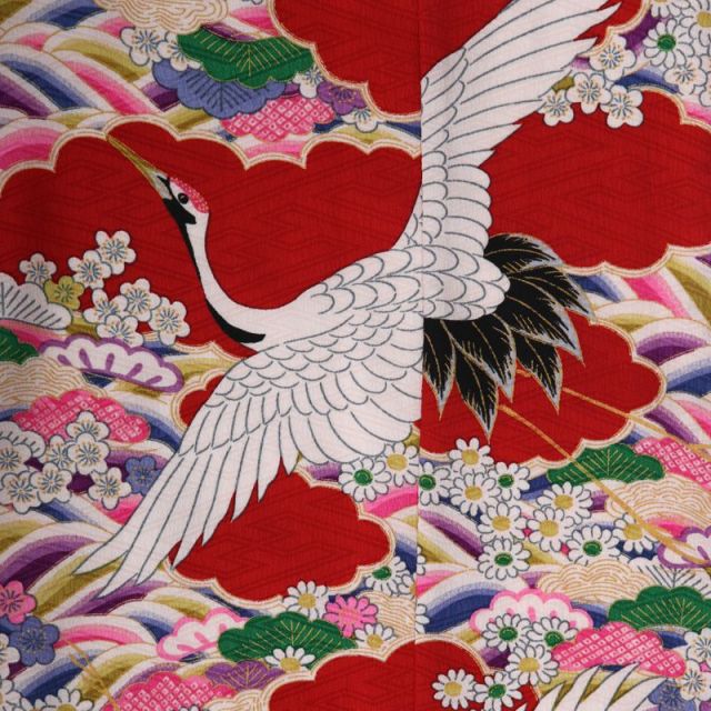 七五三着物画像