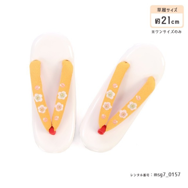 七五三着物画像