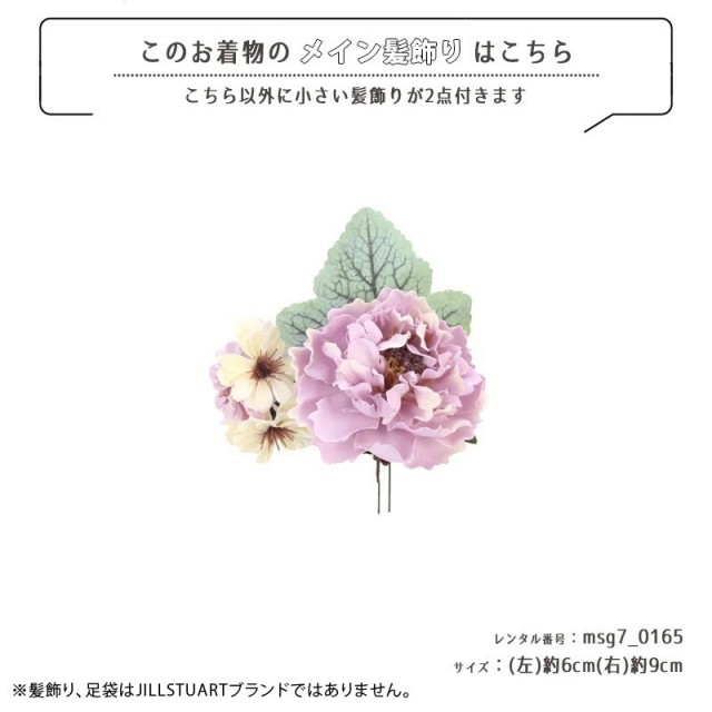 七五三着物画像