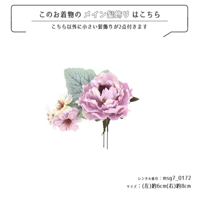 七五三着物画像