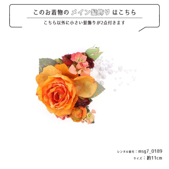 七五三着物画像