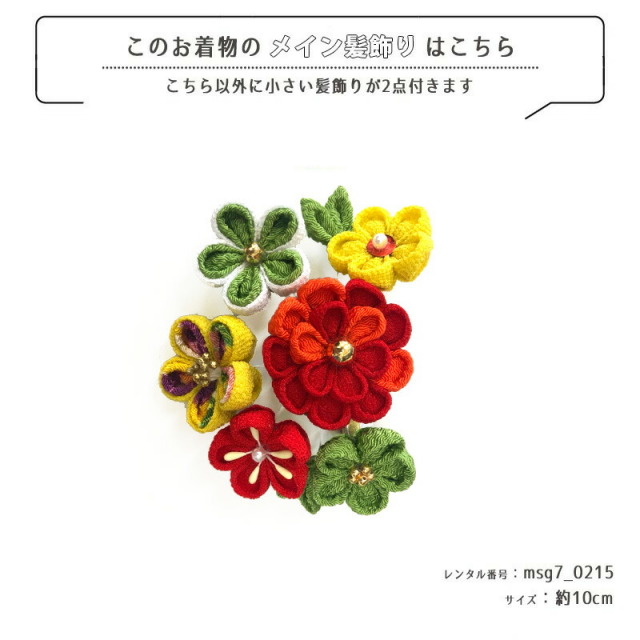 七五三着物画像