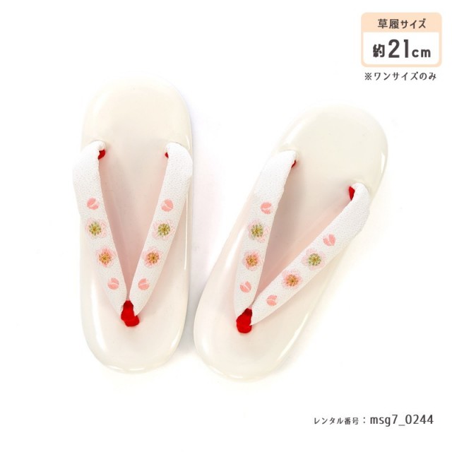 七五三着物画像