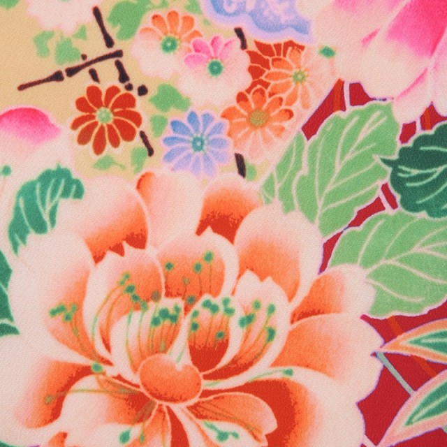 七五三着物画像