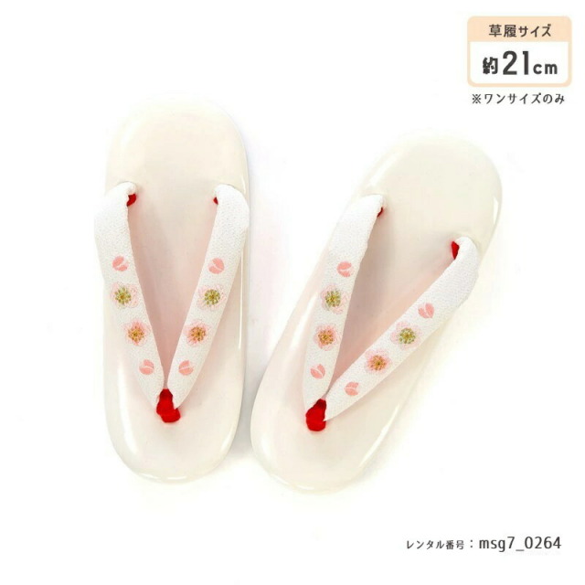 七五三着物画像