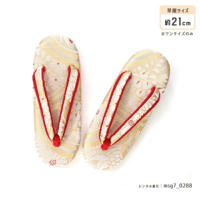 七五三着物画像