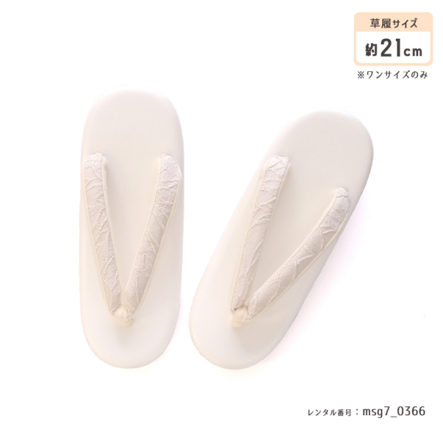七五三着物画像