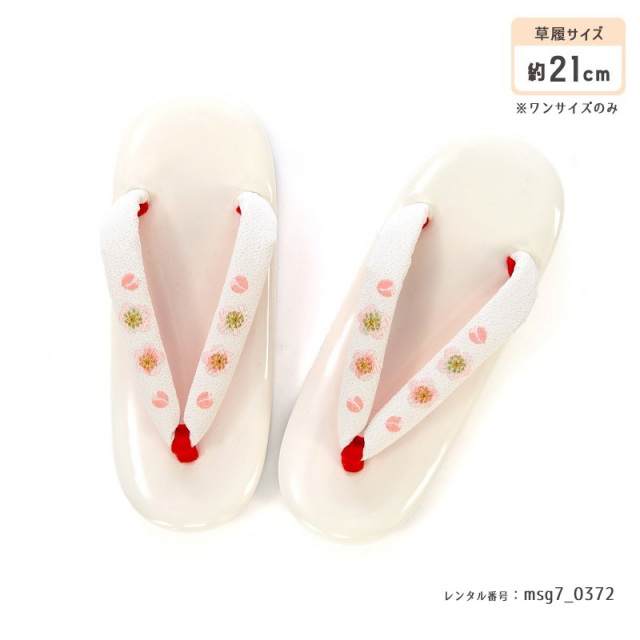 七五三着物画像