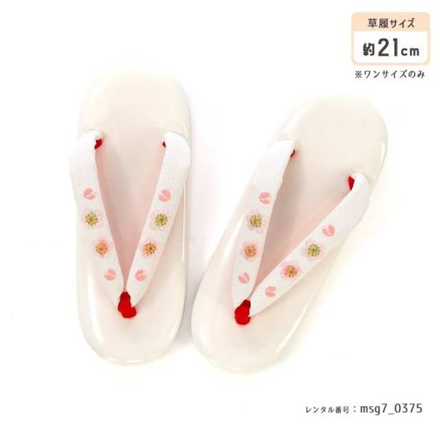 七五三着物画像