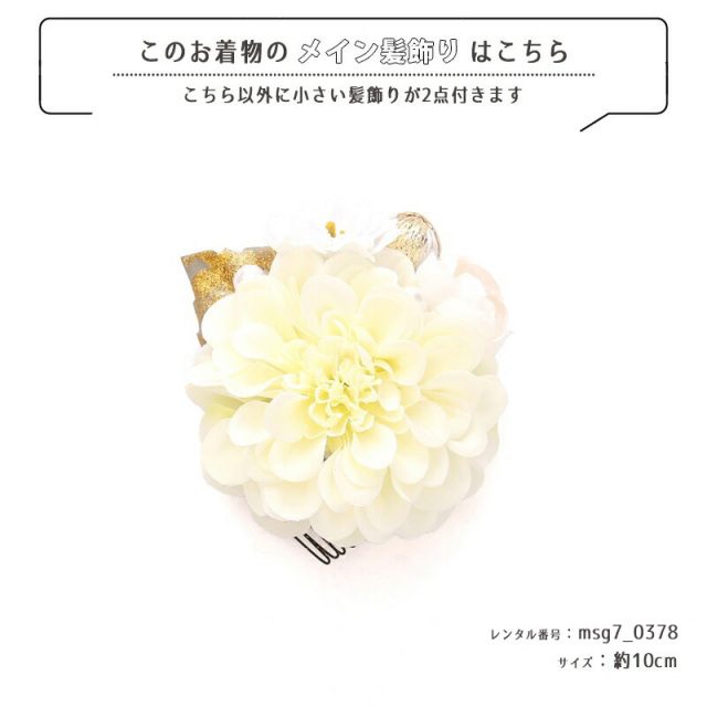 七五三着物画像