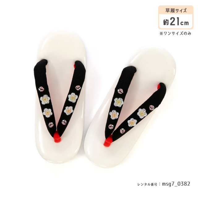 七五三着物画像